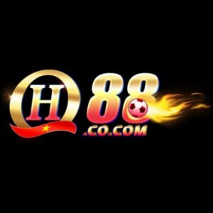 Profile photo of qh88