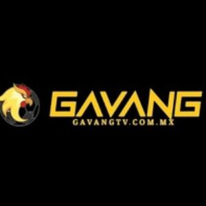 Profile photo of https://gavangtv.com.mx/