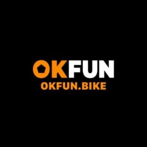 Profile photo of OKFUN BIKE https://okfun.bike/