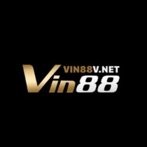 Profile photo of VIN88